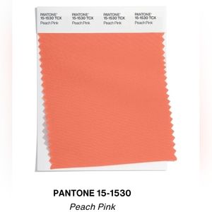 PEACH PINK Color Trend Spring Summer 2023 Pantone